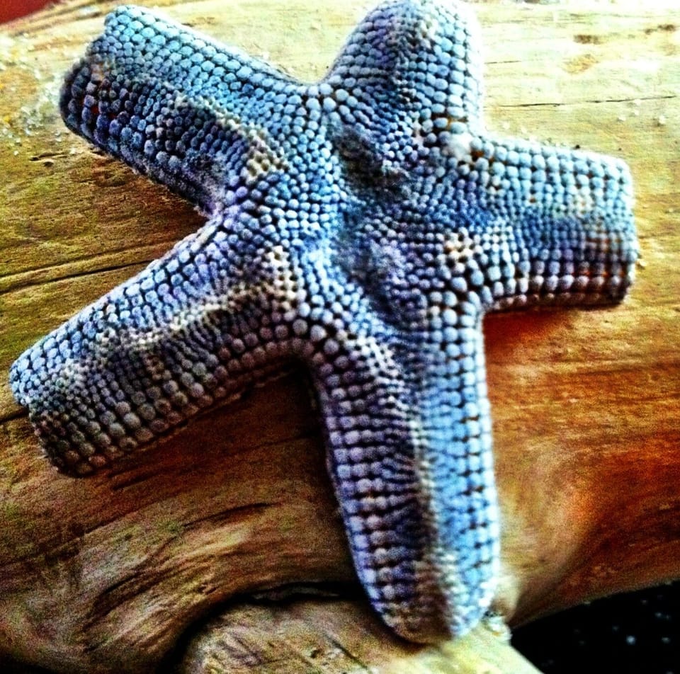 One of our unique finds! What will you see?