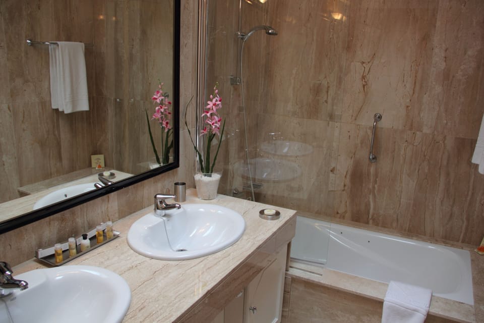 Hair dryer, bathrobes, bidet, towels