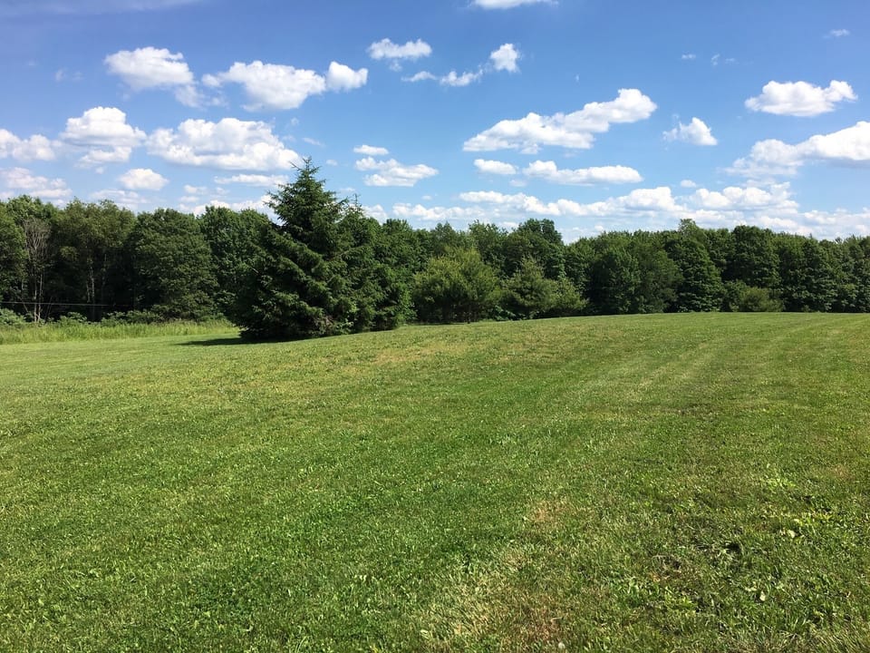 Playing Field