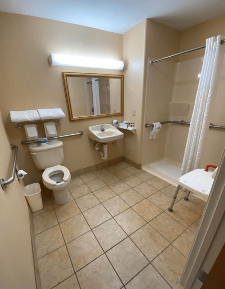 Room, 1 King Bed, Accessible, Non Smoking | Bathroom | Free toiletries, hair dryer, towels, soap