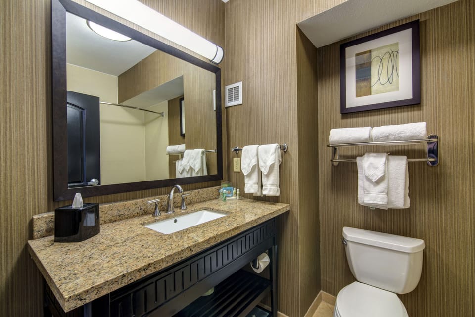 Combined shower/tub, free toiletries, hair dryer, towels