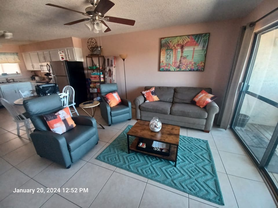 Living room with pull out couch 