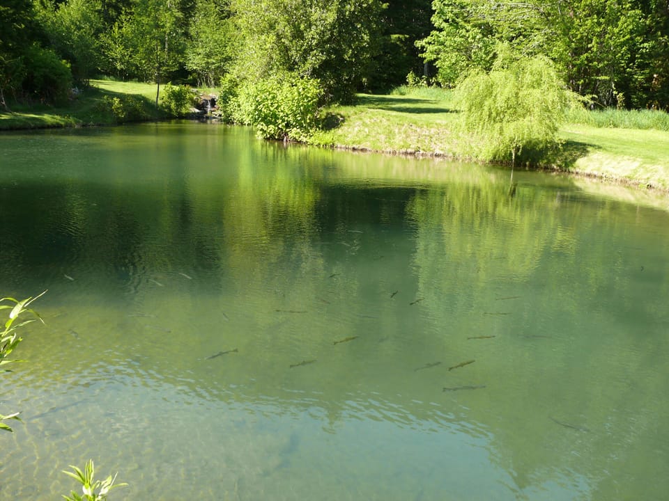 Lake