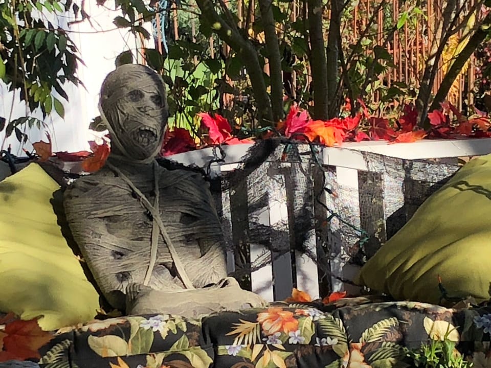 Resting peacefully on the front porch swing