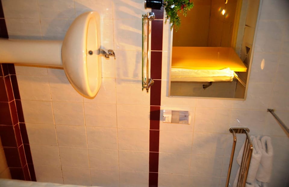Shower, free toiletries, hair dryer, bidet