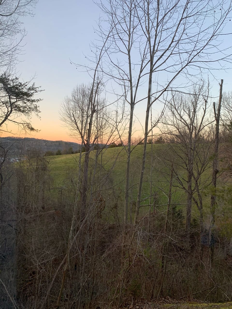 View off back deck