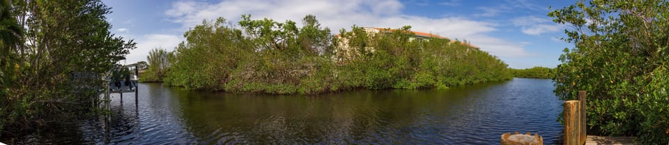 Enjoy a day kayaking through the mangroves.