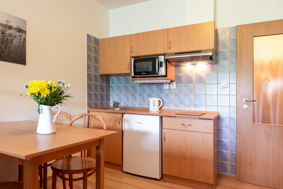 Classic Studio | Private kitchenette | Fridge, microwave, stovetop, electric kettle