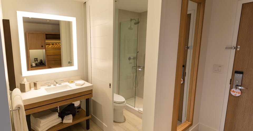Combined shower/tub, free toiletries, hair dryer, towels