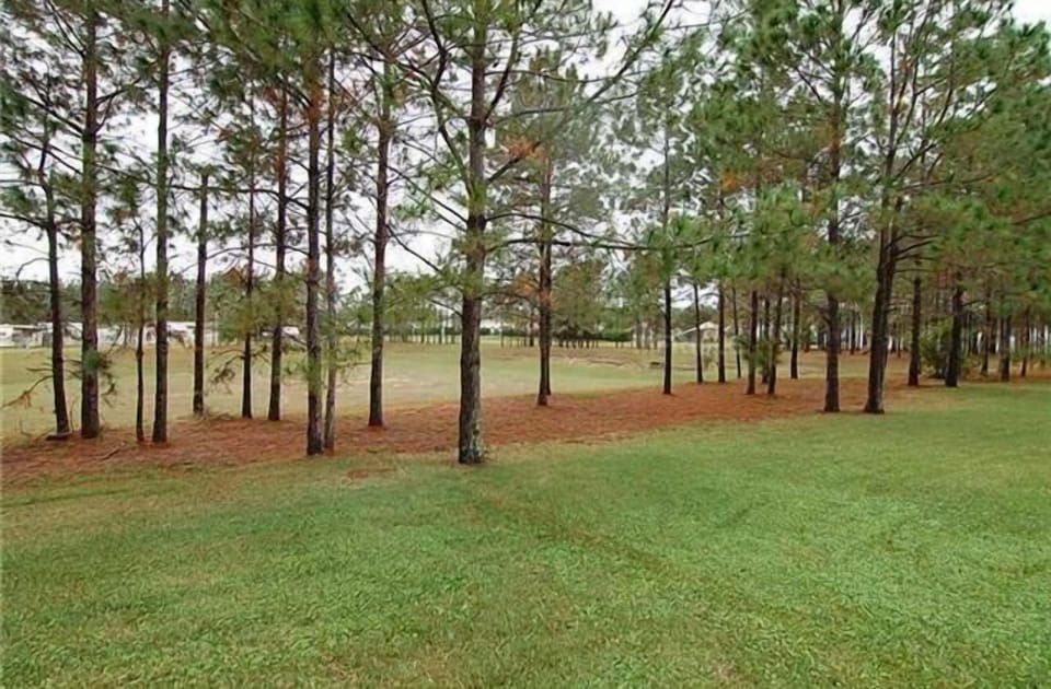 House, 5 Bedrooms | Property grounds