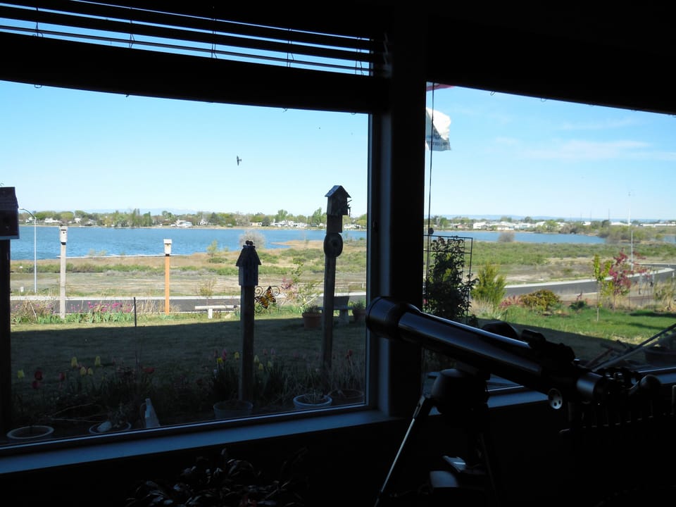 View from living room