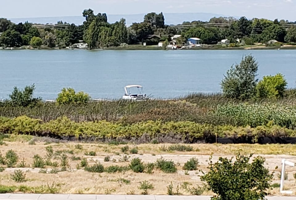view of city no charge  docks from back yard short 5 minute walk.