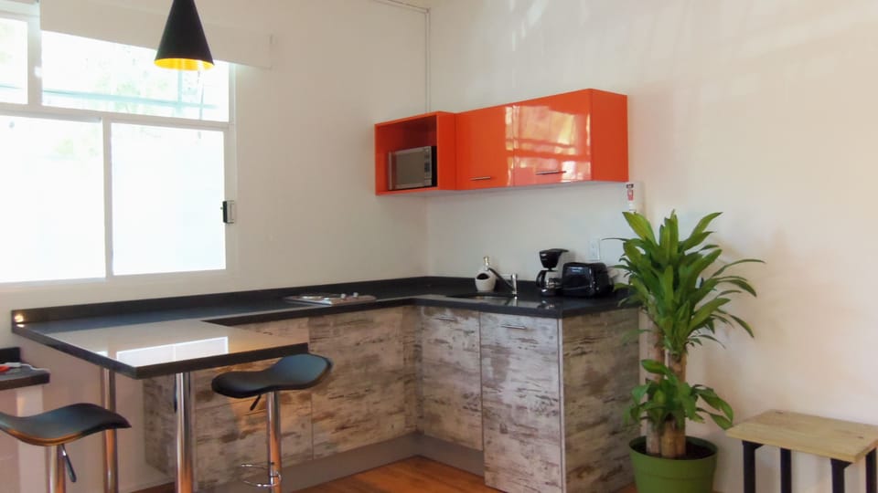 Business Studio, 1 Queen Bed, Kitchen (C7) | Private kitchen