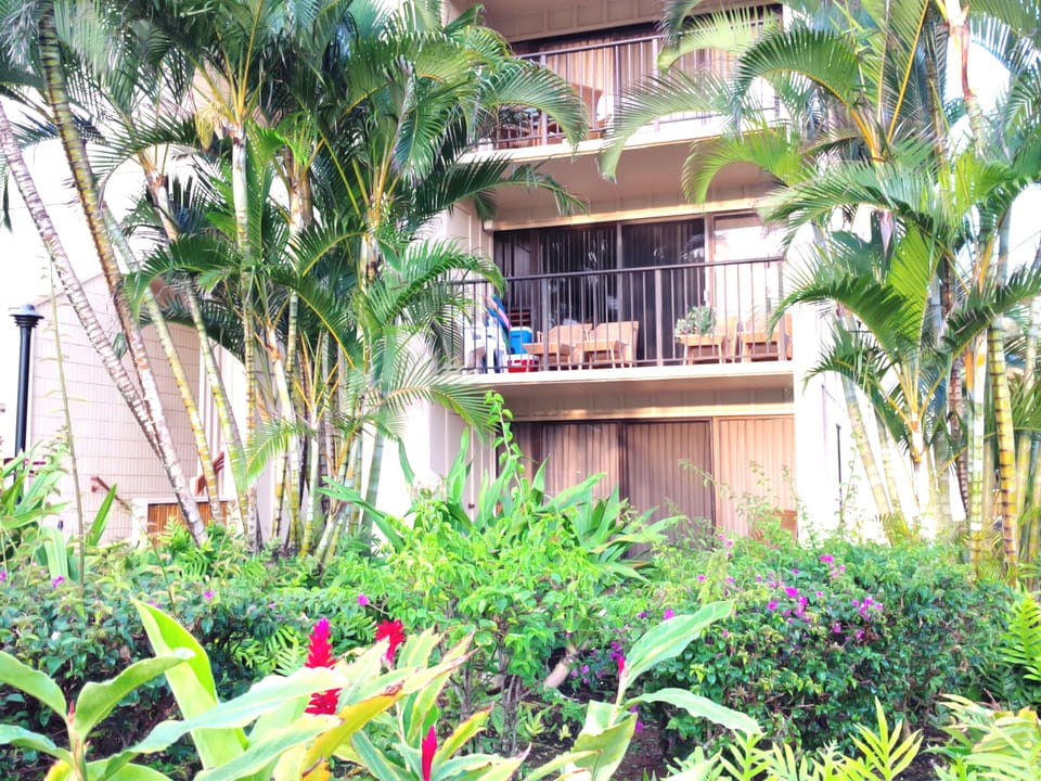 My condo is on the second floor, 10 steps up & that is the lanai & furniture