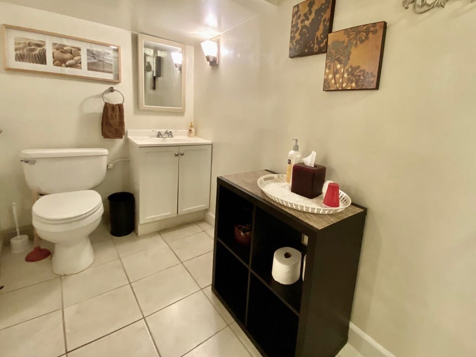 Lower Floor Bathroom