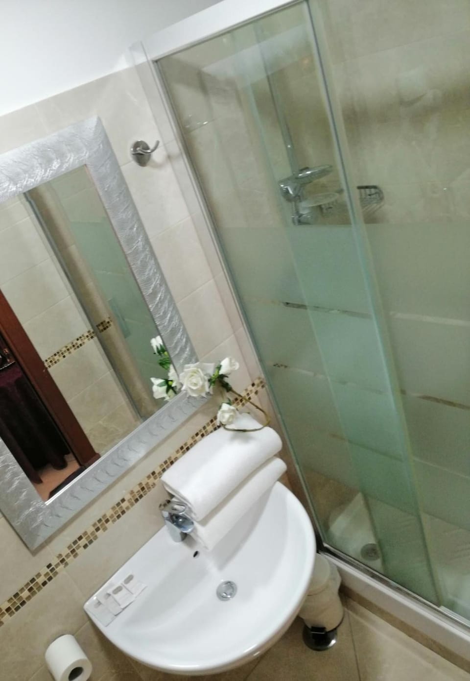 Shower, free toiletries, hair dryer, bidet