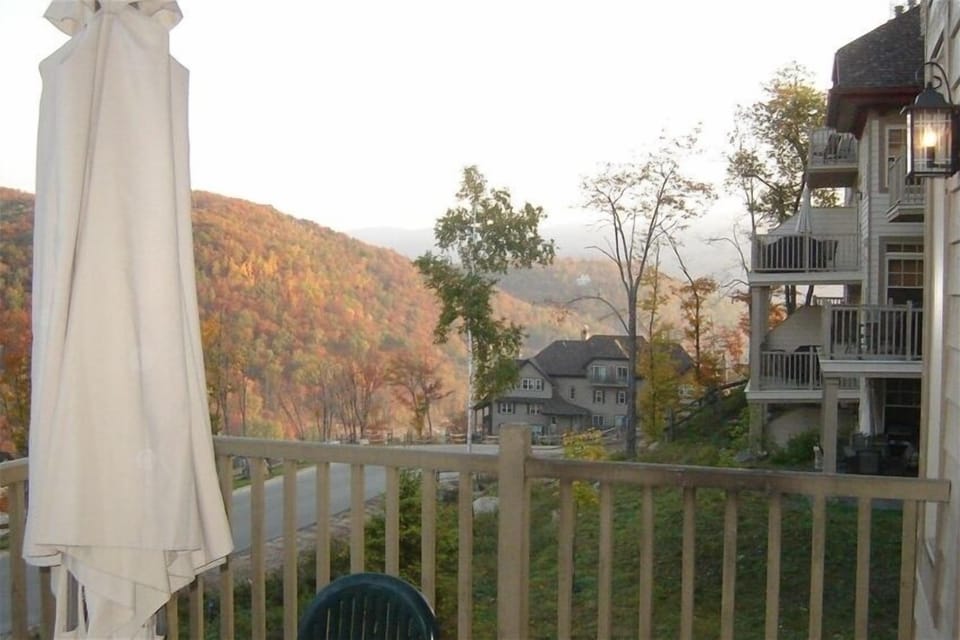 View from Deck