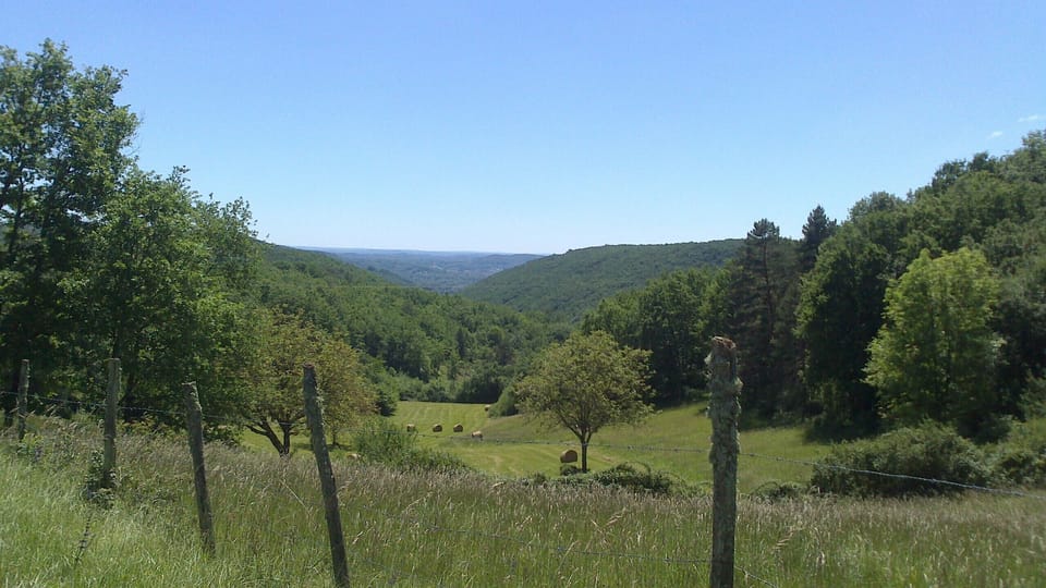typical local view