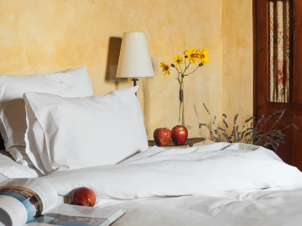 Double or Twin Room, Private Bathroom, Mountain View
