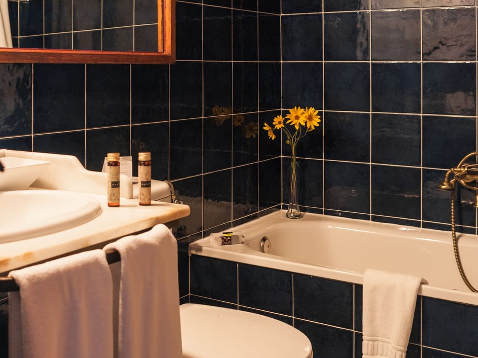 Double or Twin Room, Private Bathroom, Mountain View | Bathroom