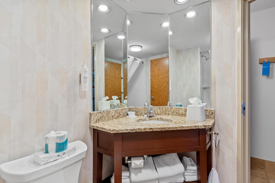 Room, 1 King Bed, Non Smoking, City View | Bathroom | Combined shower/tub, free toiletries, hair dryer, towels