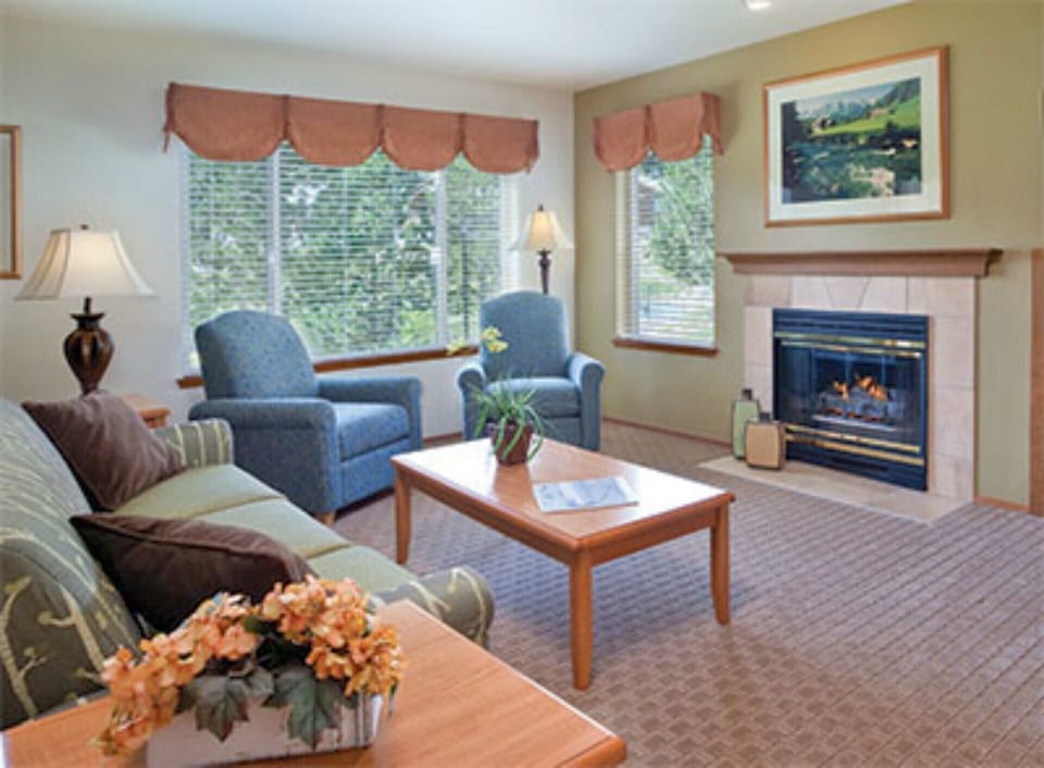 Comfortable Living room with fireplace and views