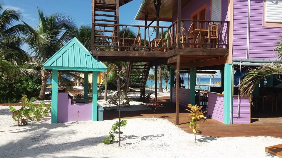 Purple Octopus Entrance