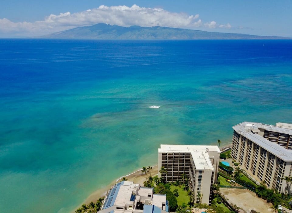 Drone picture of how close our complex is to the ocean