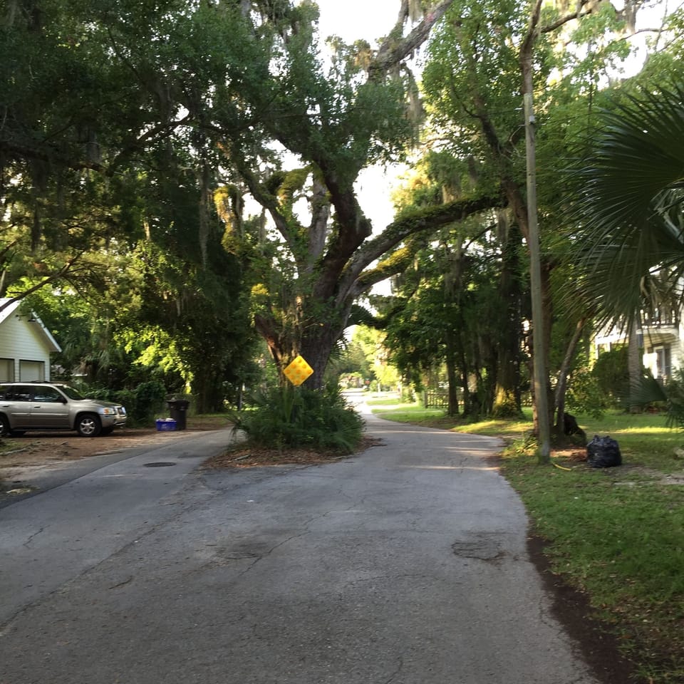 Enjoy a morning stroll in one of St. Augustines oldest neighborhoods. 