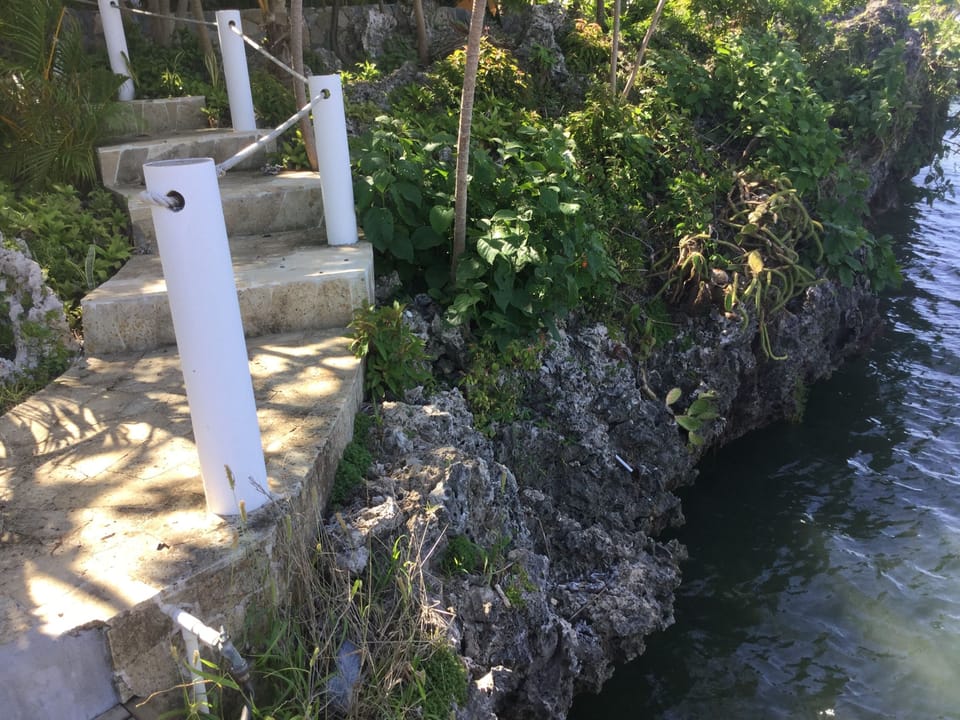 Black coral walkways