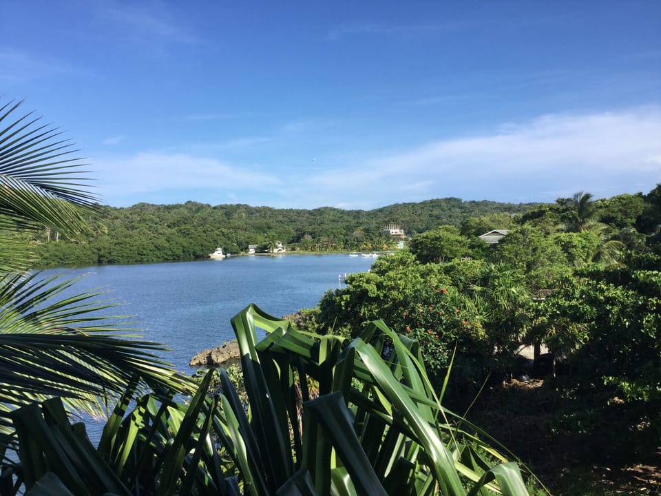  Looking east to the mountains and upper mangrove bite 