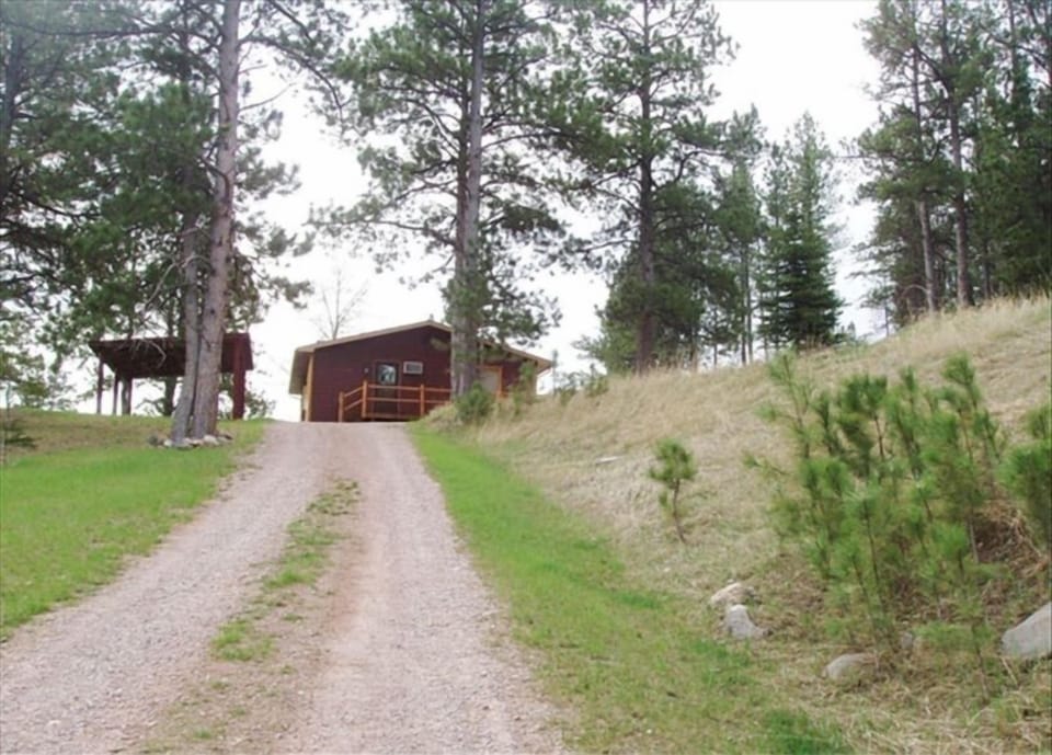 Driveway from the Main road.