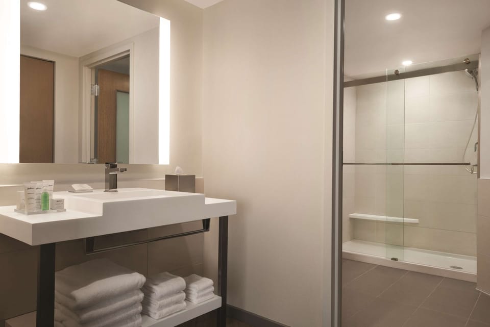 Shower, designer toiletries, hair dryer, towels