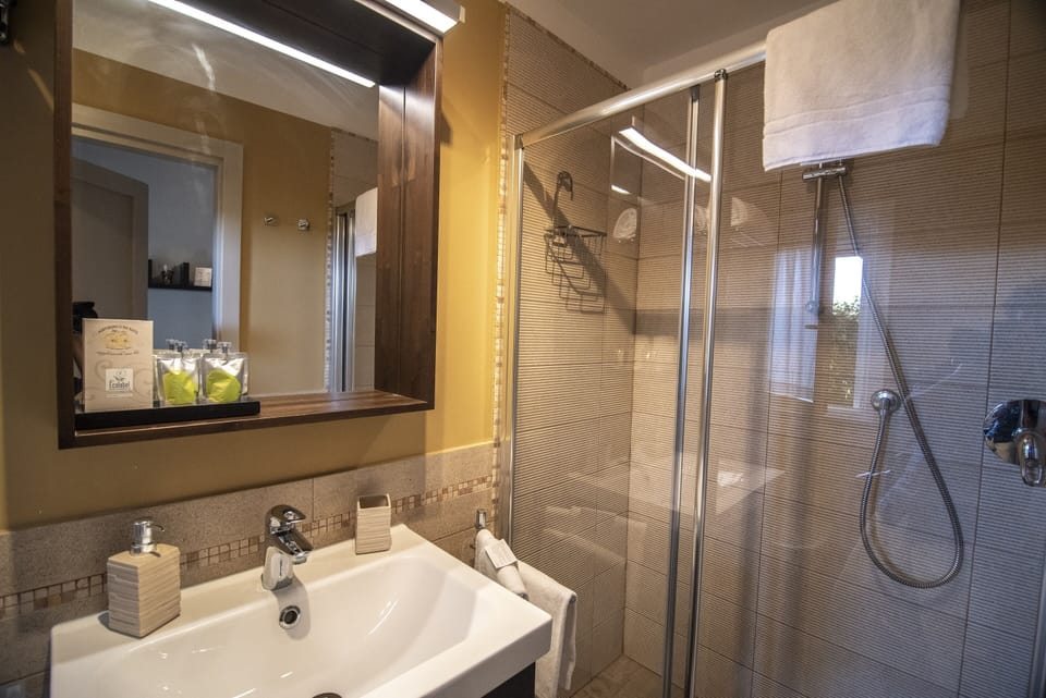 Shower, free toiletries, hair dryer, bidet