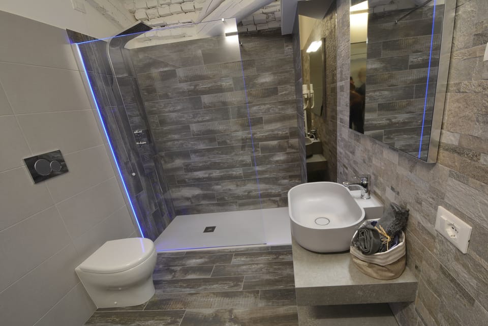 Shower, hair dryer, bathrobes, bidet
