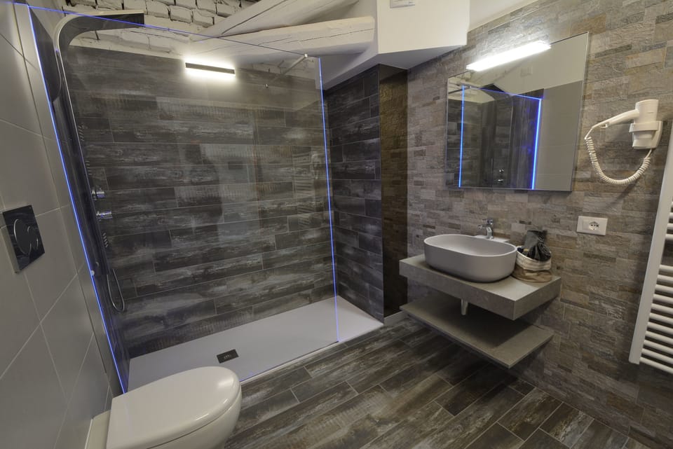 Shower, hair dryer, bathrobes, bidet