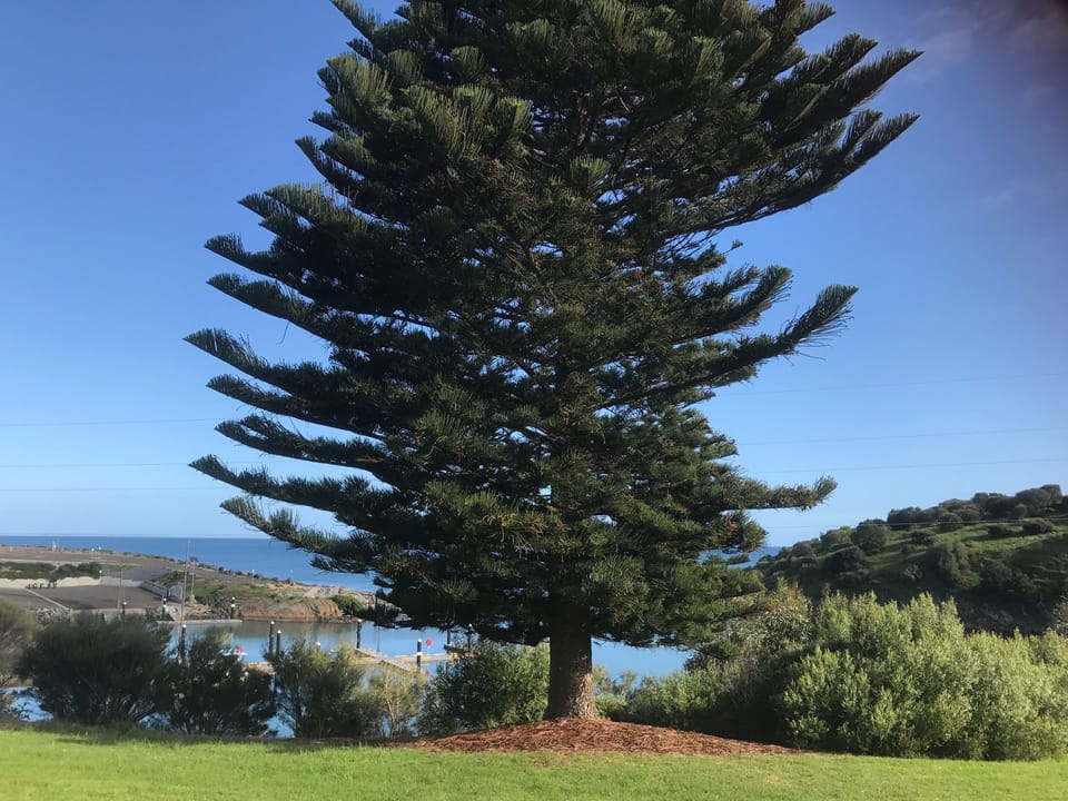 View from property