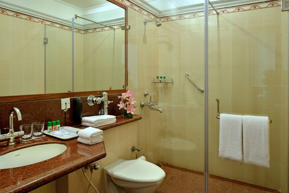 Deluxe Room | Bathroom | Shower, rainfall showerhead, free toiletries, hair dryer