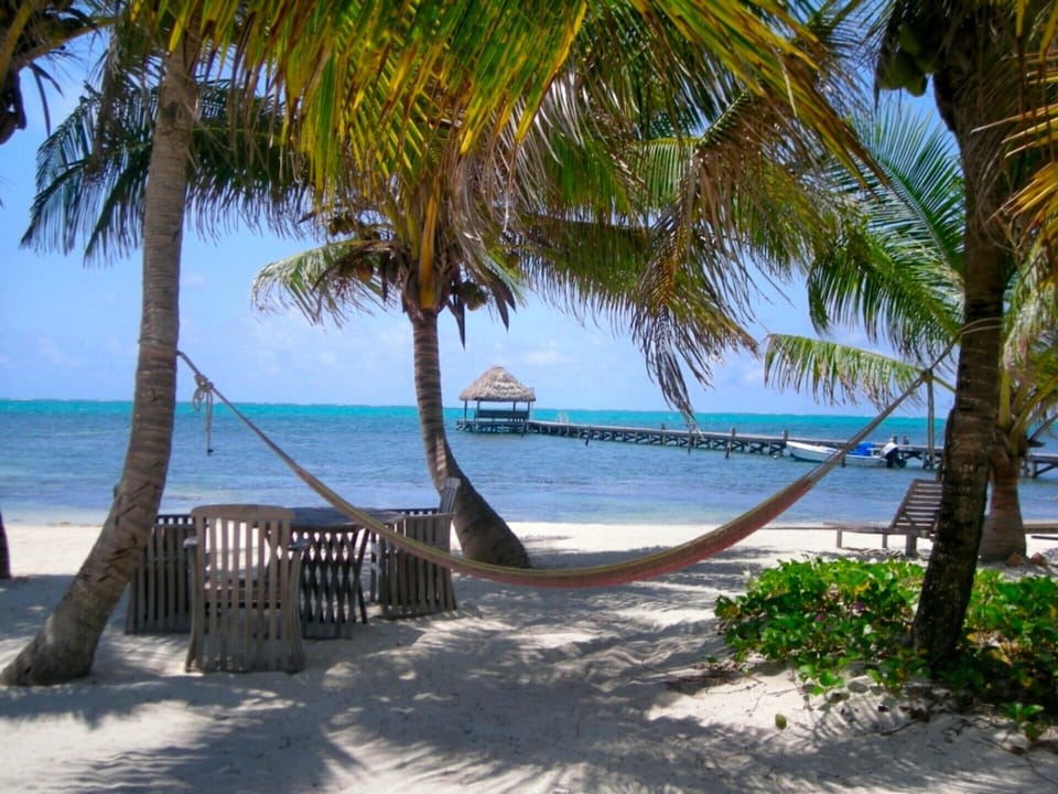 Hammocks about the property to relax.