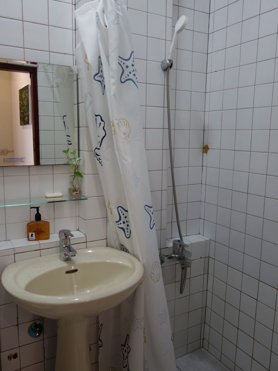 Free toiletries, hair dryer, slippers, towels