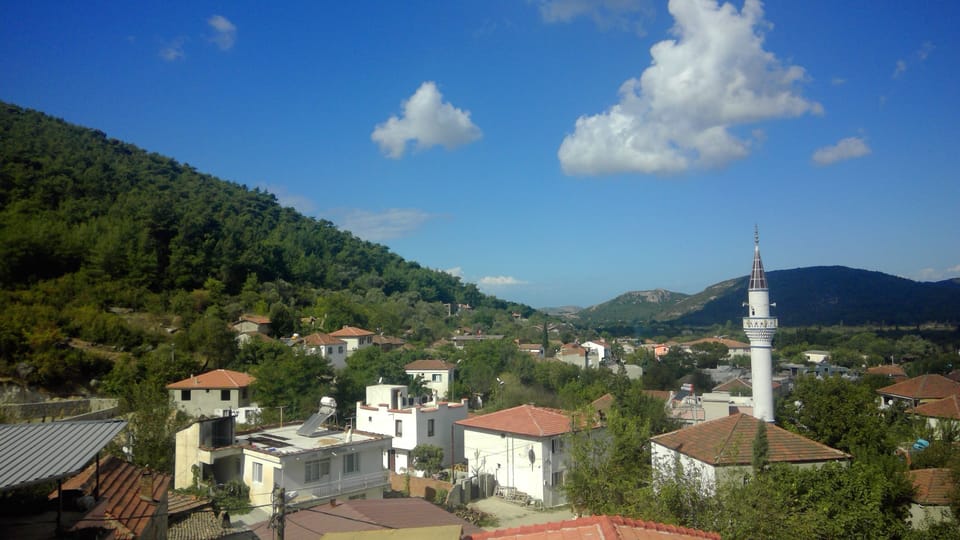 Mountain view