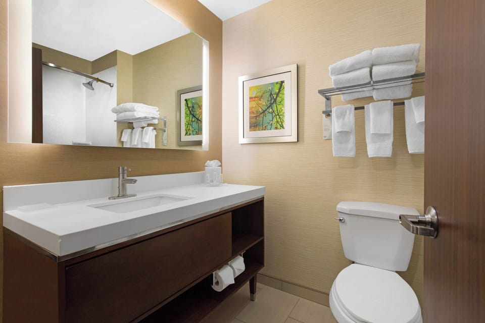 Room, 2 Queen Beds | Bathroom | Hydromassage showerhead, hair dryer, towels, toilet paper
