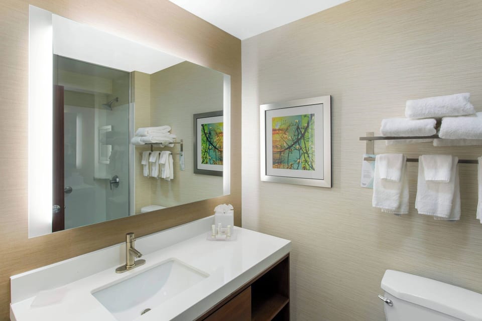 Hydromassage showerhead, hair dryer, towels, toilet paper