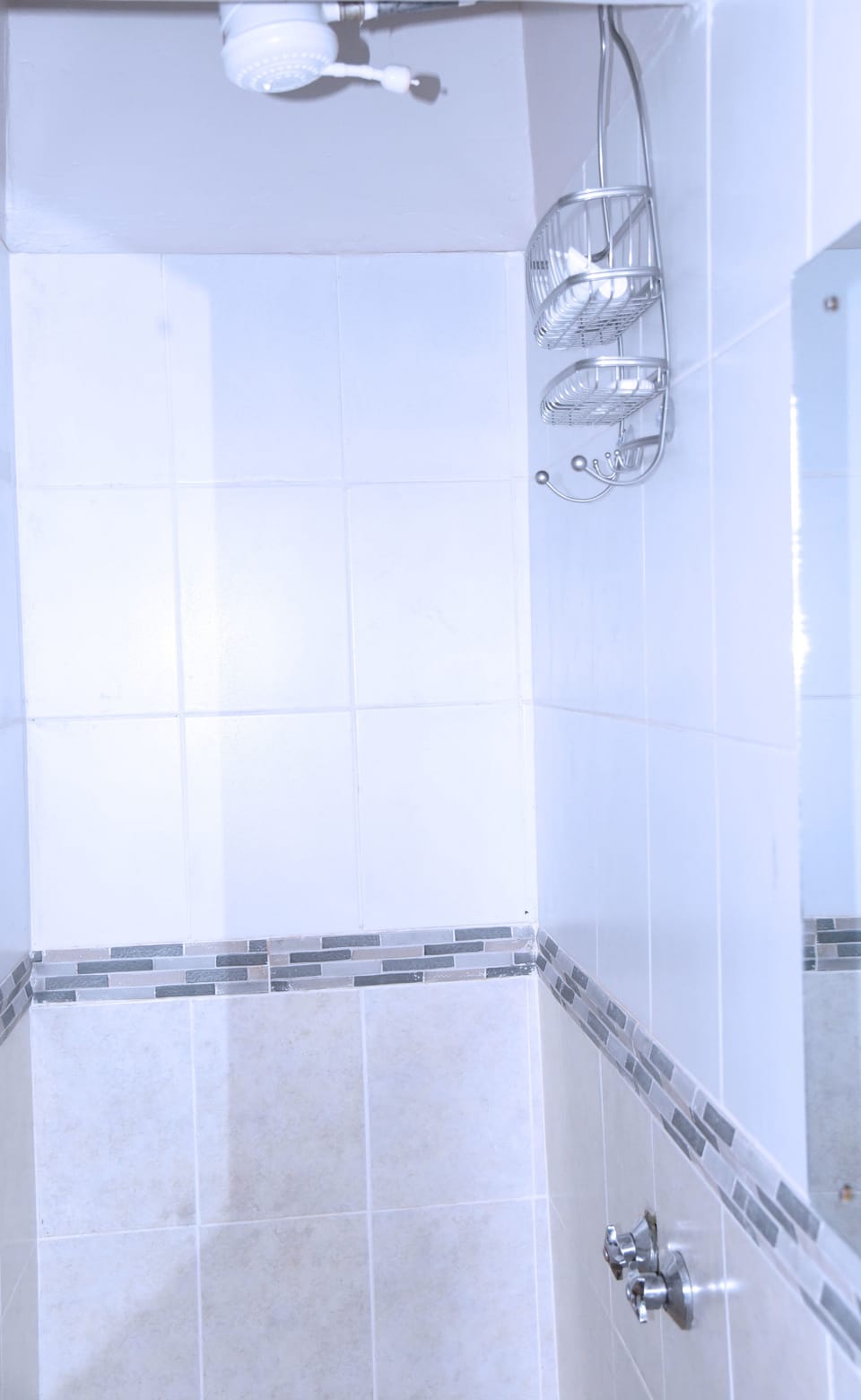 Suite, 1 Queen Bed (Savannah) | Bathroom shower