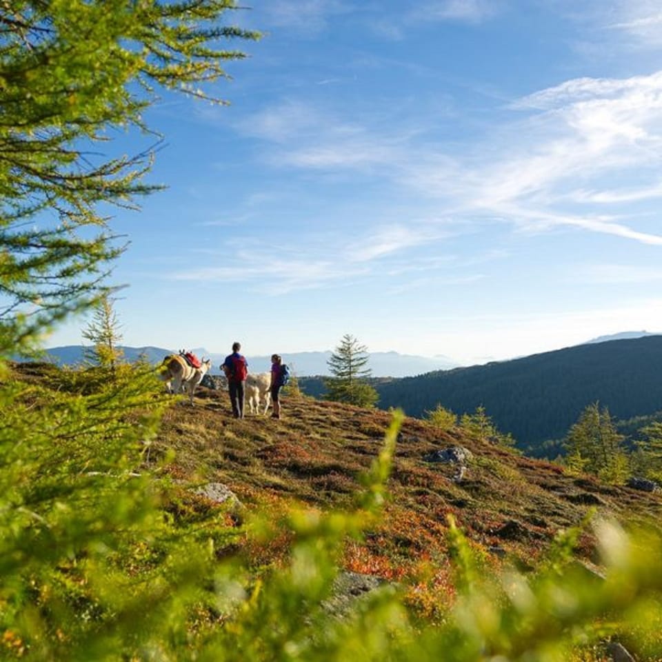 Hiking