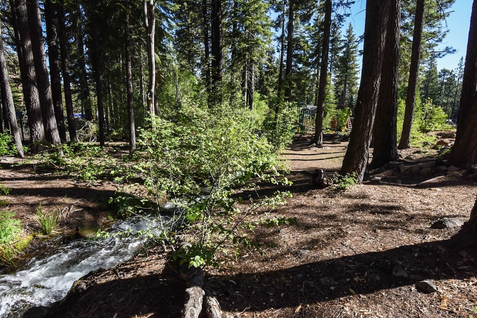 Room, 1 Bedroom | Property grounds