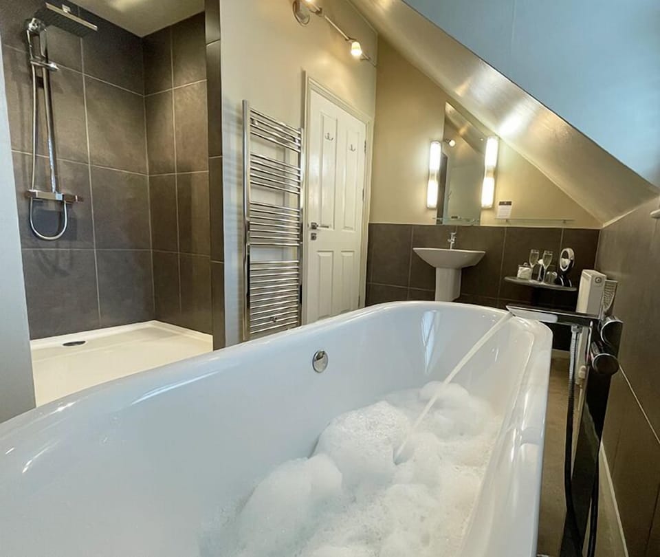 Premium Deluxe Room | Bathroom | Free toiletries, hair dryer, towels