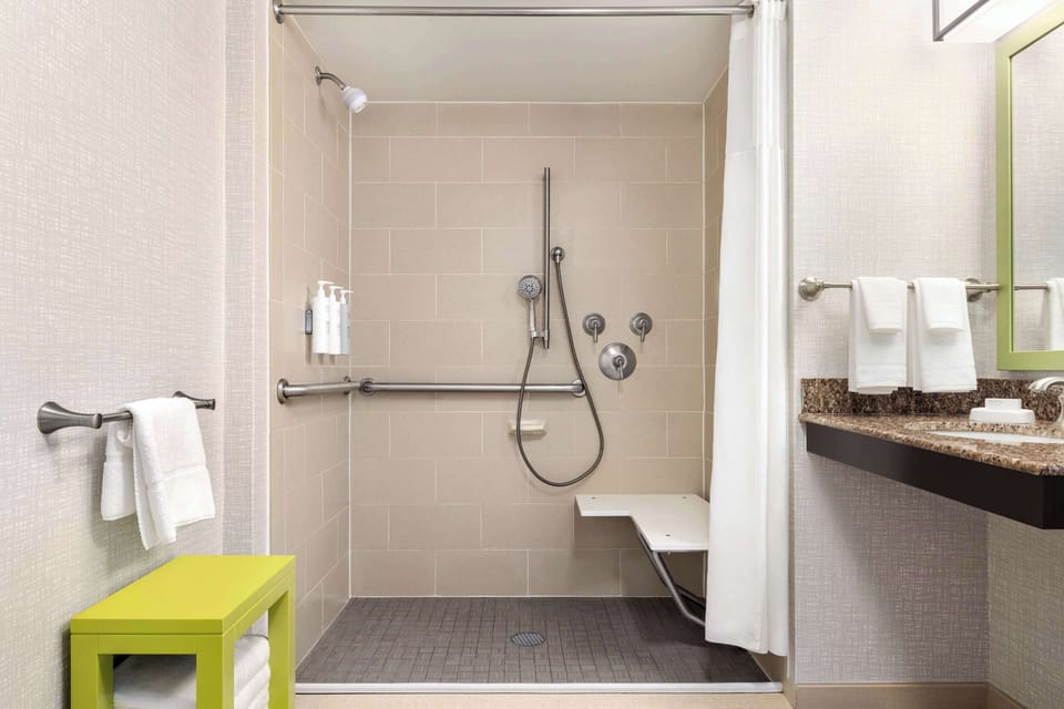 One King Bed, Non-Smoking, Roll In Shower | Bathroom shower