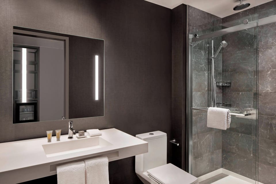 Rainfall showerhead, hair dryer, towels