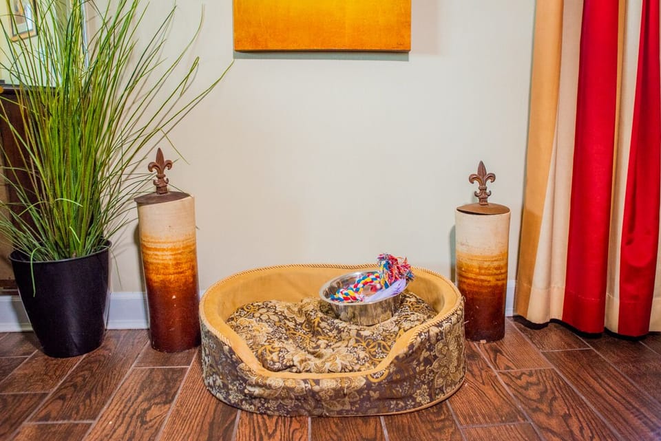 Dog bed/bowl provided!